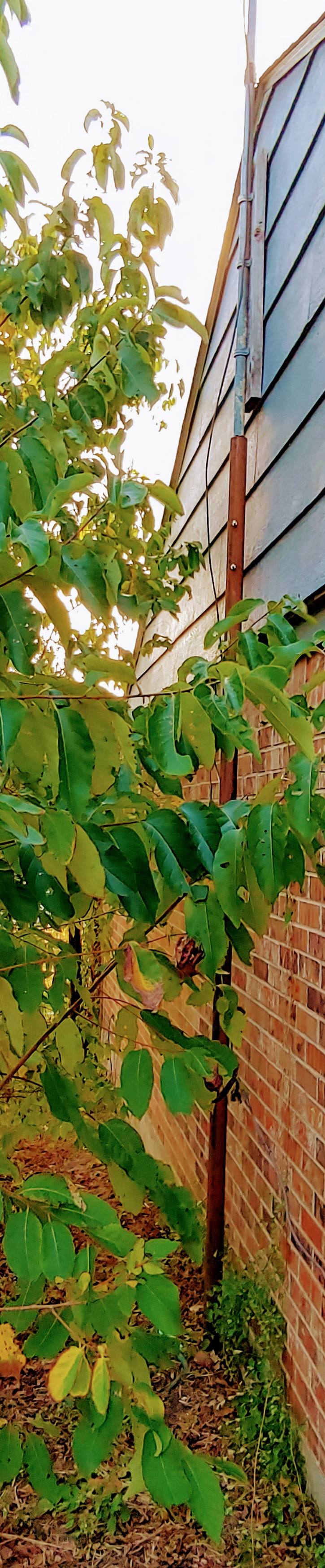 HomemadeRoofAntennaPole