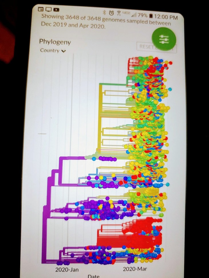 0406201200_compress40~2