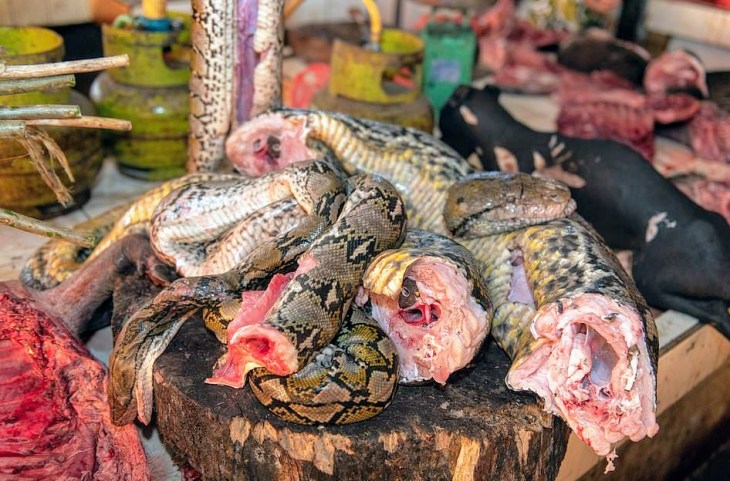 14929512-7153313-image-a-43_1560851282817~2