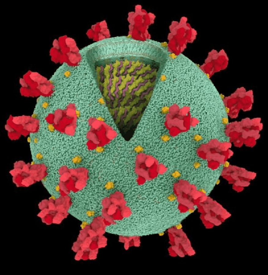 Covid-19 Wheel of Fortune…is it gonna stop on&nbsp;you?