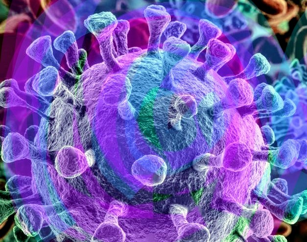 CrLWZ9F52LrqoDKJZdKJwk-970-80~6