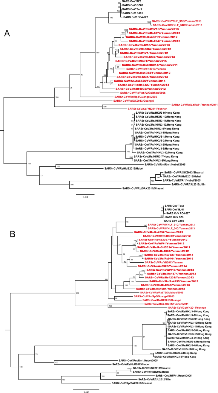 journal.ppat.1006698.g006