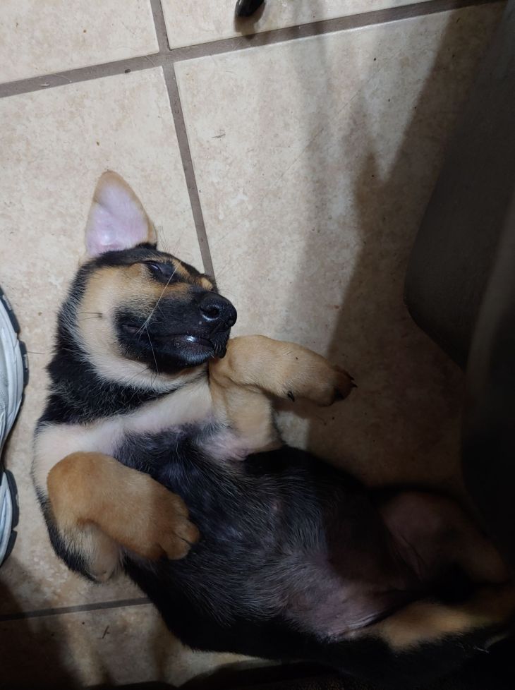 0731202112a_compress35