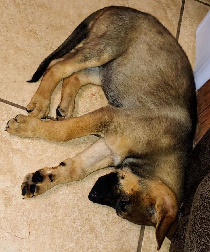 0802201208_compress2