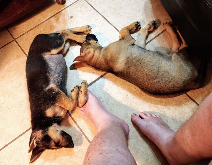 0809202109a_compress73