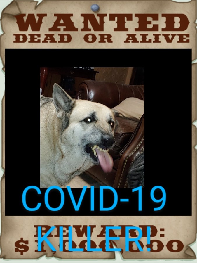 TEXAS is Number One!  At the Top of America’s&nbsp;List!