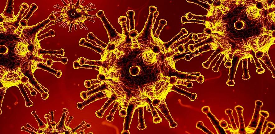 Bamlanivimab! Emergency USE authorized to fight&nbsp;COVID-19!