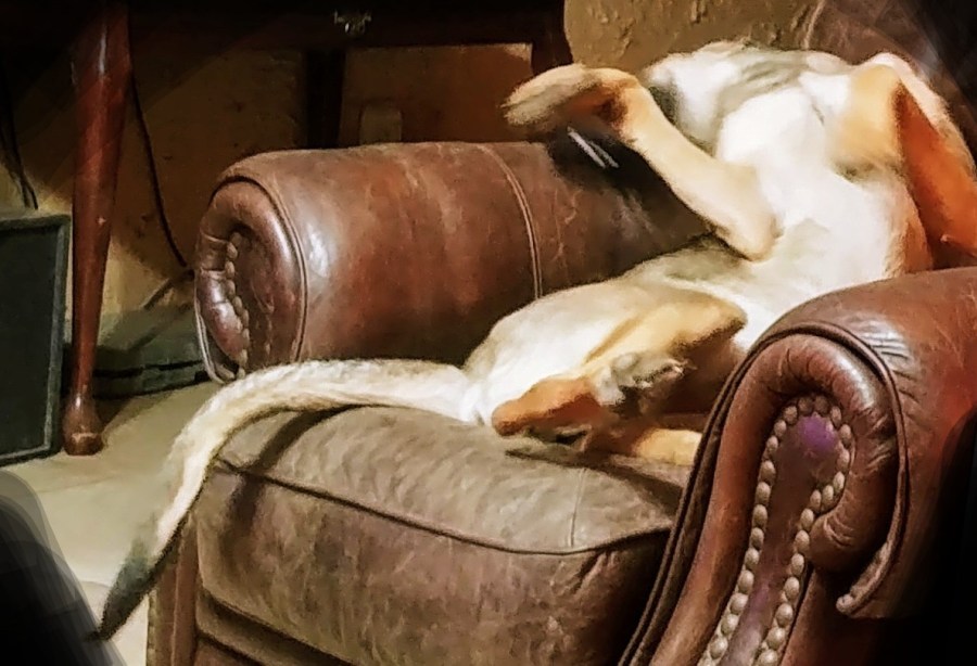 Is this your 2022 New Year’s&nbsp;Resolution?