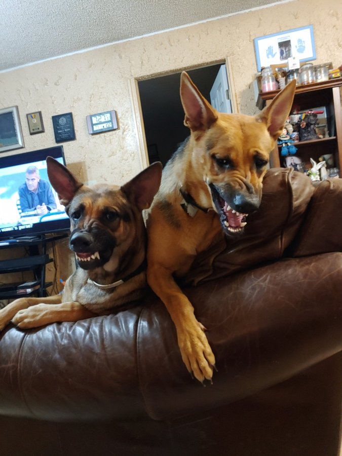 Why Lord?  Why are Those Shooting and Killing in Our Schools and&nbsp;Churches?