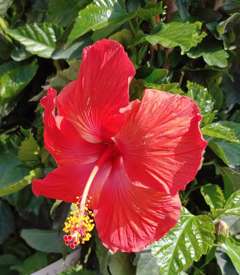 Don’t let Toxic People pull you&nbsp;down.