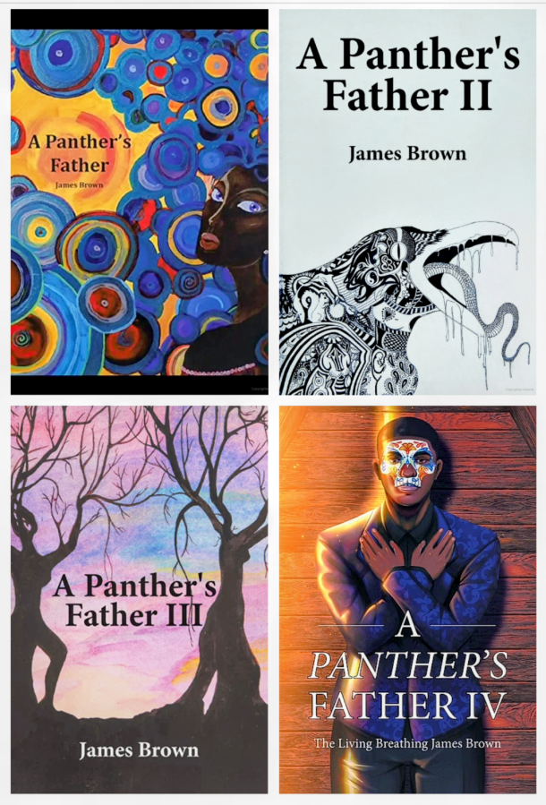 REVIEWS!  World Reviews of my “A Panther’s Father Book&nbsp;Series”!