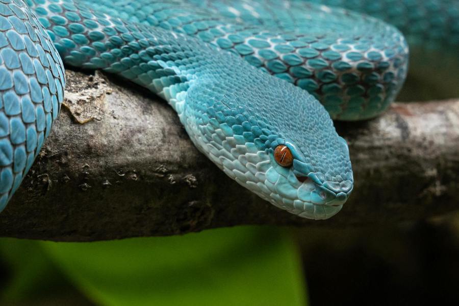 Dangerous Uncontrolled Power!