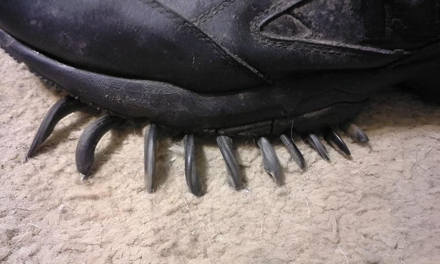 The Legend of Ol’ Tar-Tooths Attack at The Old Fort in&nbsp;1972